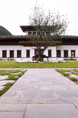 Bhutan Spirit Scantury